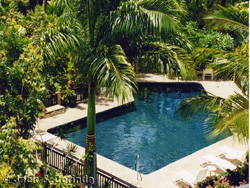 Prince Kuhio Resort Garden and Pool View - click for larger picture